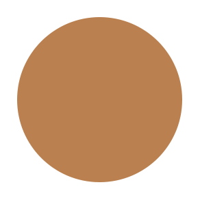 Bronzer Compact - exotic blend P.